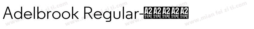 Adelbrook Regular字体转换